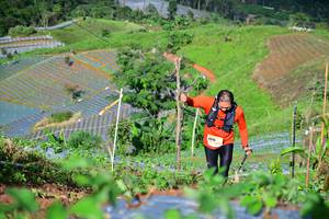 BIB: 
                            <button type="button" onclick="openModal(13380664)" class="btn btn-primary btn-sm float-right btn-popup" data-toggle="modal" data-target=".modal-high-quality">
                        <i class="fas fa-shopping-cart"></i> Add to Cart
                    </button>
                                            <button type="button" onclick="isThisMe(13380664, true)" class="btn btn-success btn-sm float-right btn-popup btn-isme hidden" data-toggle="tooltip" data-placement="bottom" title="นี่คือรูปของคุณใช่ไหม คลิกที่นี่เพื่อเอาเข้าอัลบั้ม">
                        <i class="fas fa-plus"></i> Add to album
                    </button>
                    <button type="button" onclick="isThisMe(13380664, false)" class="btn btn-warning btn-sm float-right btn-popup btn-isnotme hidden">
                        <i class="fas fa-ban"></i> Remove from album
                    </button>